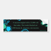 Racoon Bumper Stickers