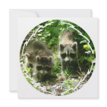 Racoon Habitat Invitation