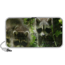 Racoon Habitat Speakers