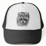 Racoon