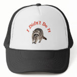 Racoon hats