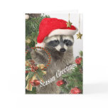 Racoon Holiday Greetings cards