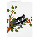 Racoon in a Tree Card