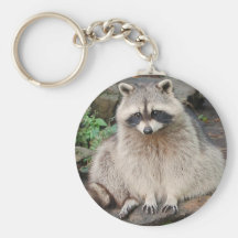 Racoon Key Chains