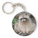 Racoon keychains