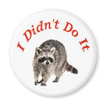 Racoon magnets