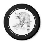 Racoon Magnet in pencil