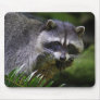 Racoon Mousepad
