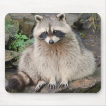 Racoon Mousepads