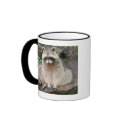 Racoon mugs