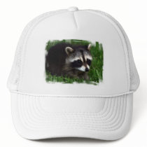 Racoon Photo Baseball Hat