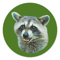 Racoon Picture Sticker