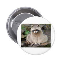 Racoon Pin