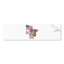 racoon-sam1 bumper stickers