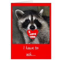 Racoon Valentines Day Card
