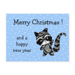 racoon xmas snow