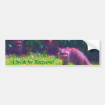 Racoons in the BC park Bumper Sticker