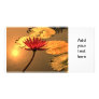 Radiant Water Lily with the Sun Reflecting Personalized Photo Card