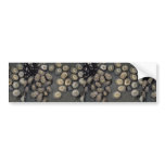 Radiate limpet (Cellana radians) Shell bumper stickers