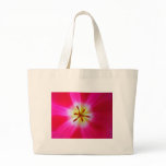 radiating rays bags