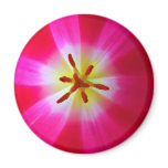 Radiating Rays magnets