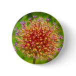 Radiating Star Button