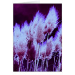 Radio-active Greeting Cards