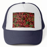 Radish hats