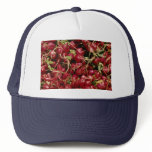 Radish hats