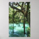 Radium Springs Along Flint River GA posters