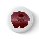 Rafflesia Button