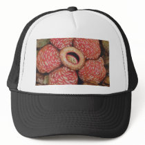 Rafflesia Of Borneo Watercolor Art Mesh Hat