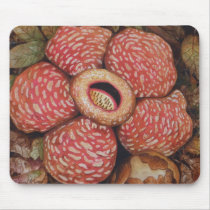 Rafflesia Of Borneo Watercolor Art Mouse Pad