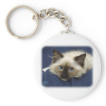Ragdoll Cat 9W082D-020 keychains