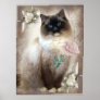 Ragdoll holding single rose