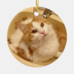 Ragdoll Kitten in Sink Ornaments