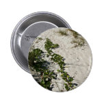 Railroad vine and white sand pinback buttons