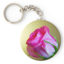Rain Drop Kisses of Nature on Pink Rose