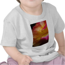Rain Drop Rose T Shirt