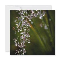 Rain Droplets Card / Invitation