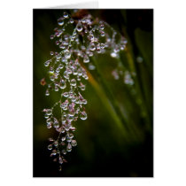 Rain Droplets Greeting Card