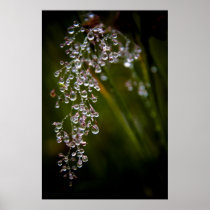 Rain Droplets Poster