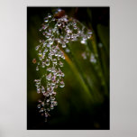 Rain Droplets posters