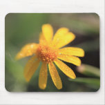 Rain Drops Flower Mousepad