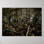 Rain Fall Poster