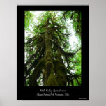 Rain Forest Mutant Poster posters