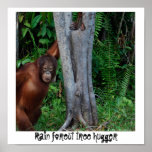 Rain Forest  Nature's Tree Hugger posters