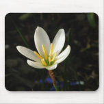 Rain Lily Mouse Mat