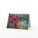 rain today    cards