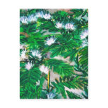 rain tree flowers watercolour painting art postcards